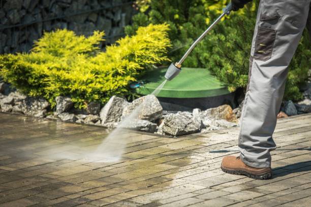 Best Residential Exterior Washing  in Fayette, MS